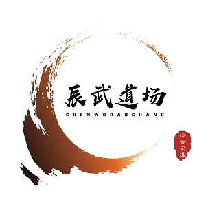 辰武综合武道